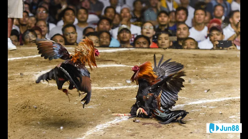 Kỹ Năng Hỗ Trợ và Điều Khiển Trong Kỹ Năng Hỗ Trợ và Điều Khiển Trong