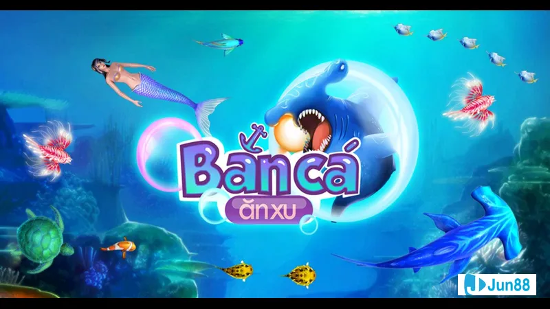 Cá làm nền tảng cho một hệ sinh