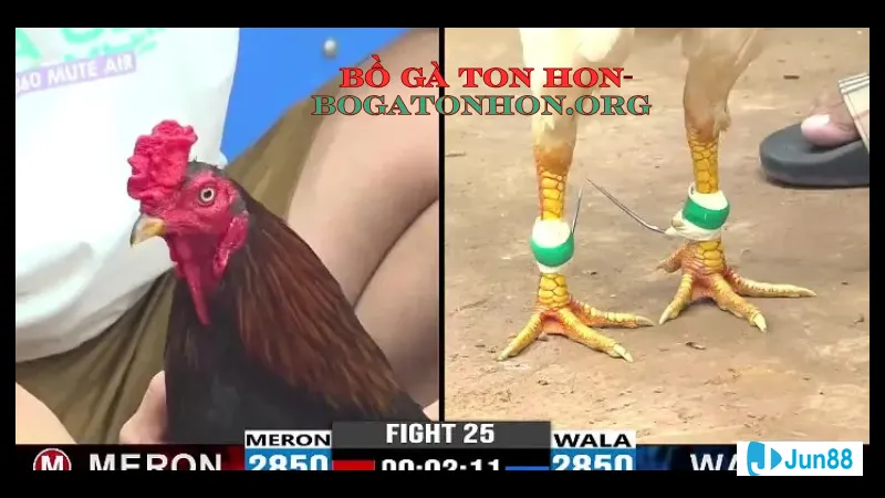 Trận đấu đang diễn ra trên sân cỏ Trận đấu đang diễn ra trên sân cỏ