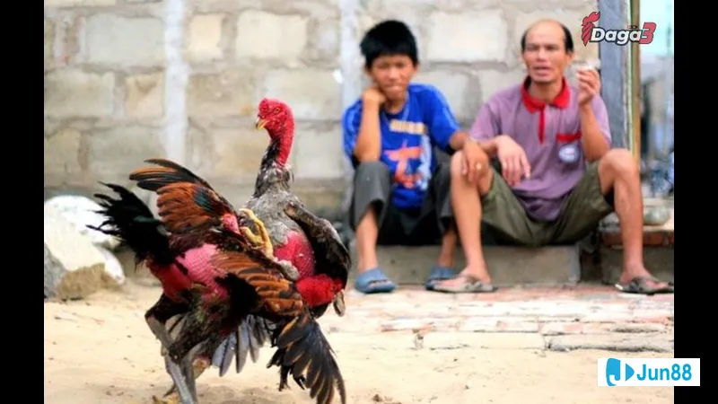 Nguyên lý di truyền trong phối màu lông Nguyên lý di truyền trong phối màu lông