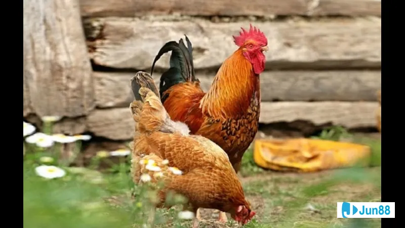 Ứng dụng công nghệ gen trong phối màu Ứng dụng công nghệ gen trong phối màu