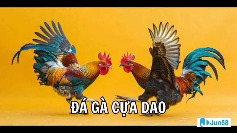 Nhóm người dự đoán kết quả trận đấu Nhóm người dự đoán kết quả trận đấu