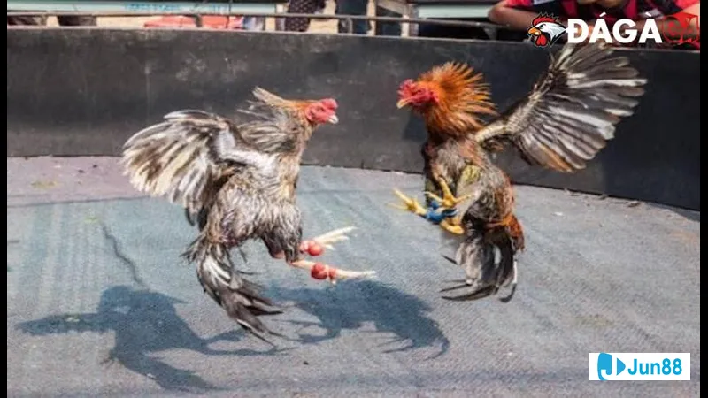 Đăng ký tài khoản trên website Đăng ký tài khoản trên website