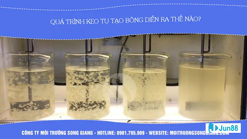 Nghiên cứu thông tin về đội bóng Nghiên cứu thông tin về đội bóng