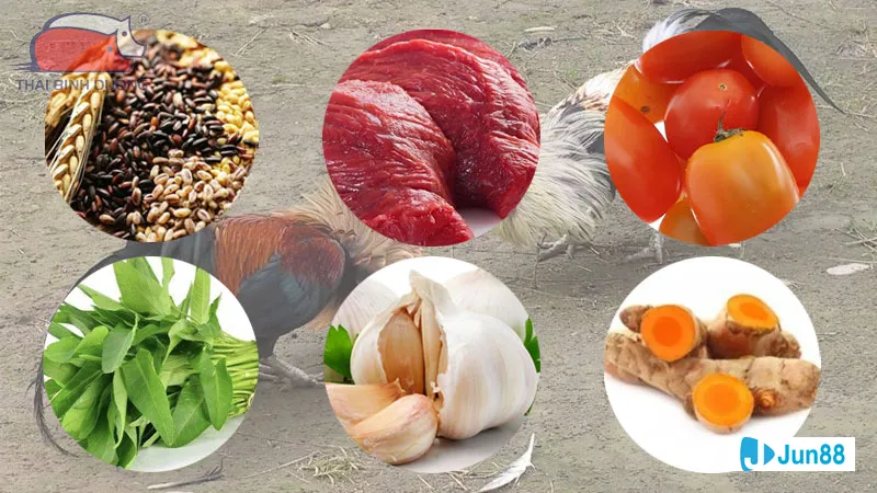 Chế độ dinh dưỡng khoa học