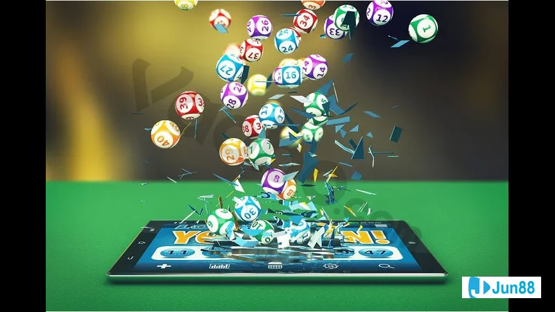 Người đàn ông hái trái quả trám Người hái trái quả trám