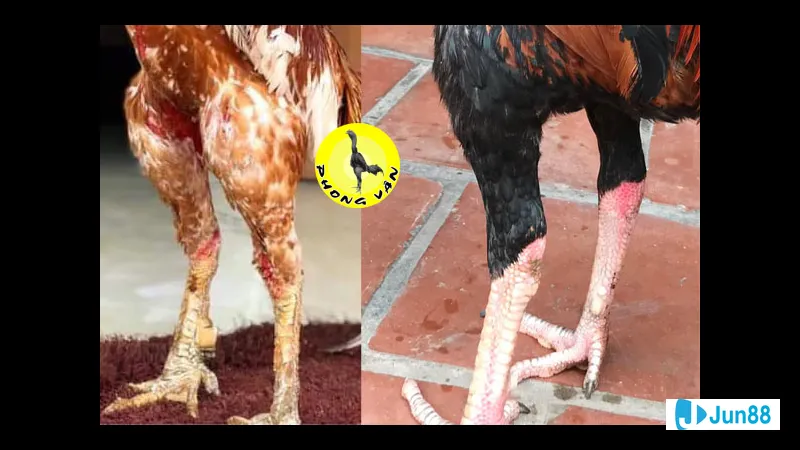 Minh họa cho Độ sát thương và tính Minh họa cho Độ sát thương và tính