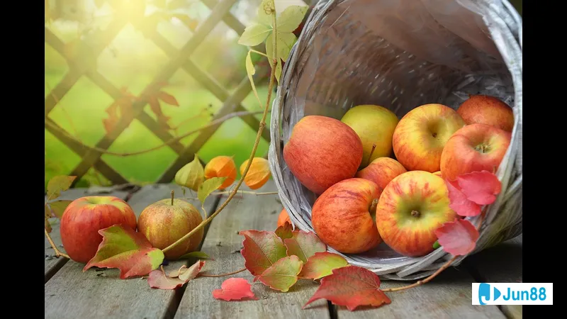 Quả táo tròn và đỏ rực, trên nền Quả táo tròn và đỏ rực, trên nền