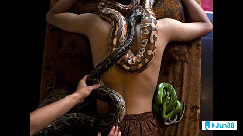 Con trăn đáng sợ Con trăn đáng sợ