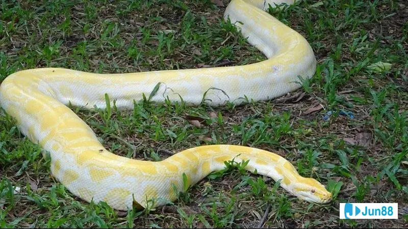 Minh họa cho Các tình huống cụ thể Minh họa cho Các tình huống cụ thể