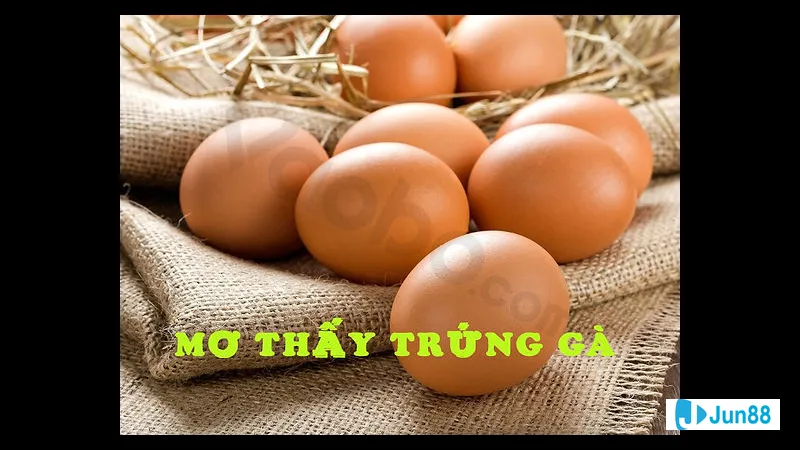 Trứng gà vỡ trong giấc mơ Trứng gà vỡ trong giấc mơ