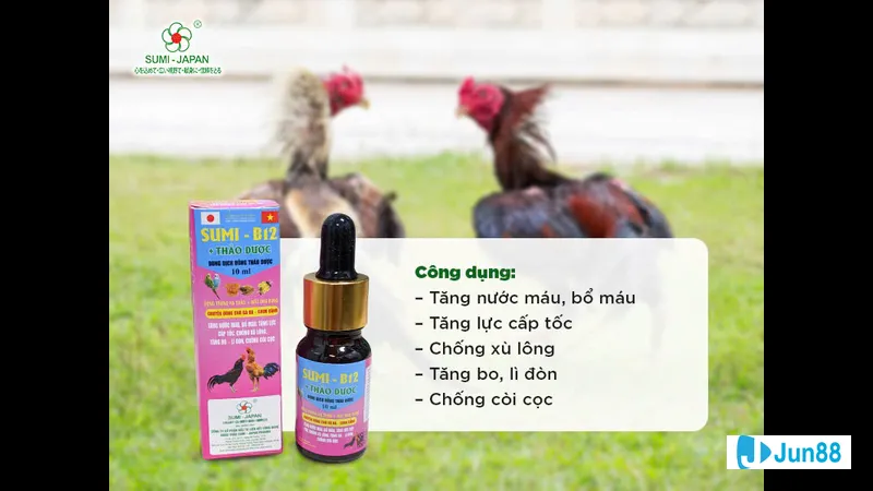 Thuốc cơ bản dành cho gà đá Thuốc cơ bản dành cho gà đá