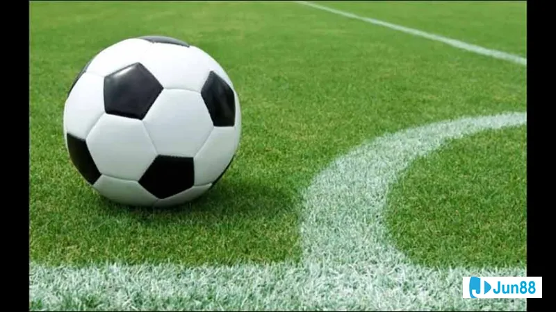 Minh họa cho Ví dụ minh hoạ về Minh họa cho Ví dụ minh hoạ về